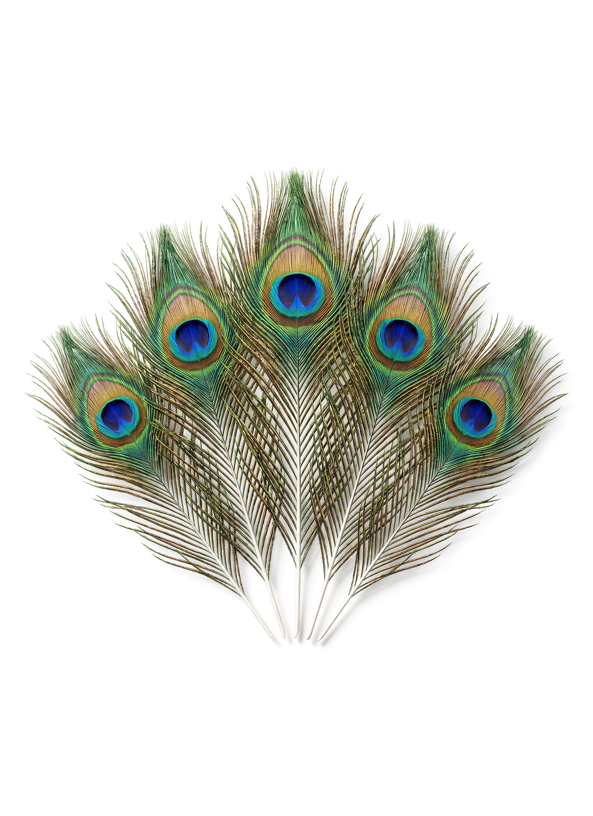 Madhoor Mor Pankh 5 Pieces